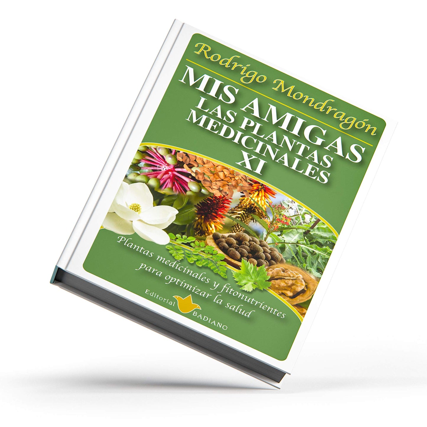 Mis amigas las plantas medicinales ® libro 11 de Rodrigo Mondragón