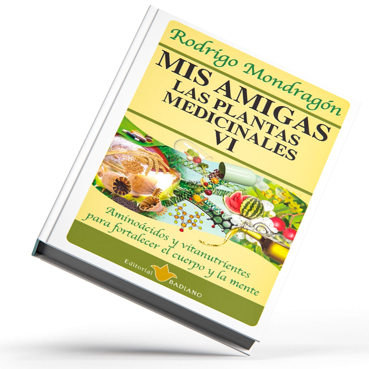 Mis amigas las plantas medicinales ® libro 6 de Rodrigo Mondragón